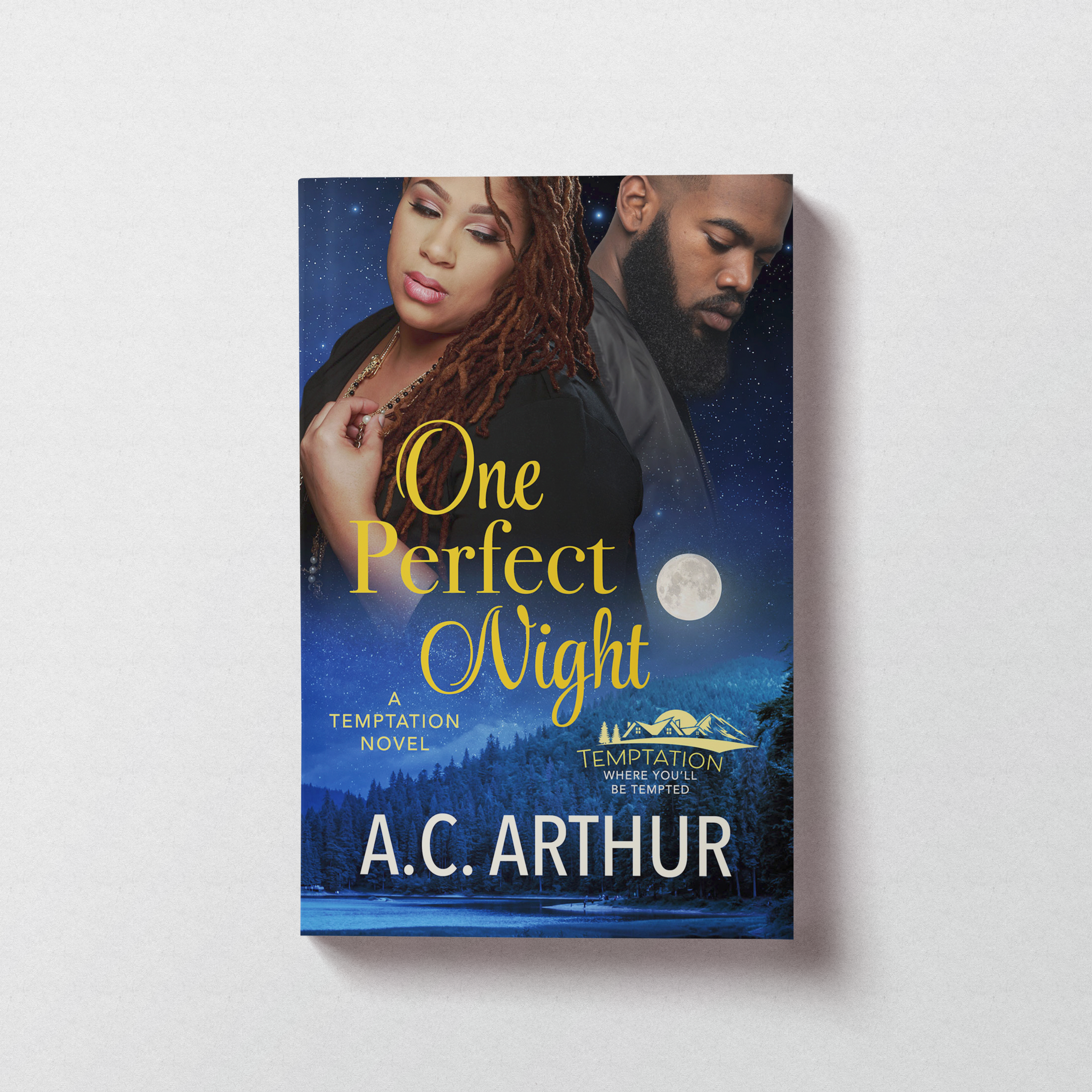 One Perfect Night: Temptation Book #5