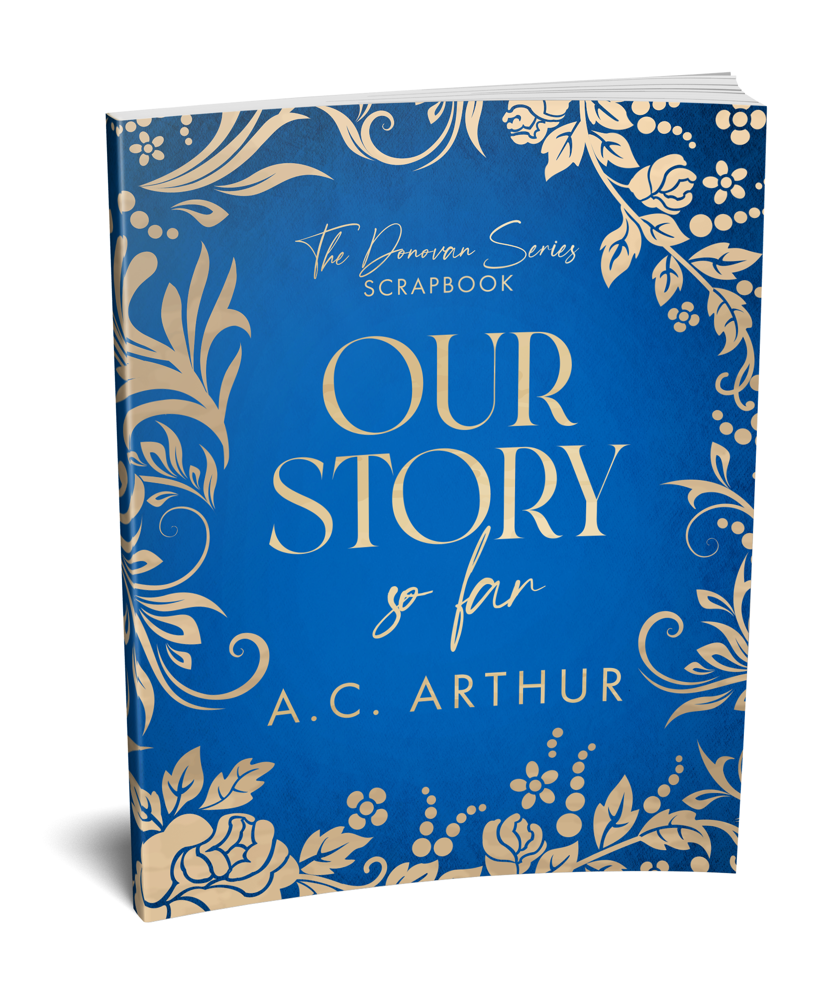 Quarterly Run It Back Book Box 2 - The Donovans Secret Son Omnibus