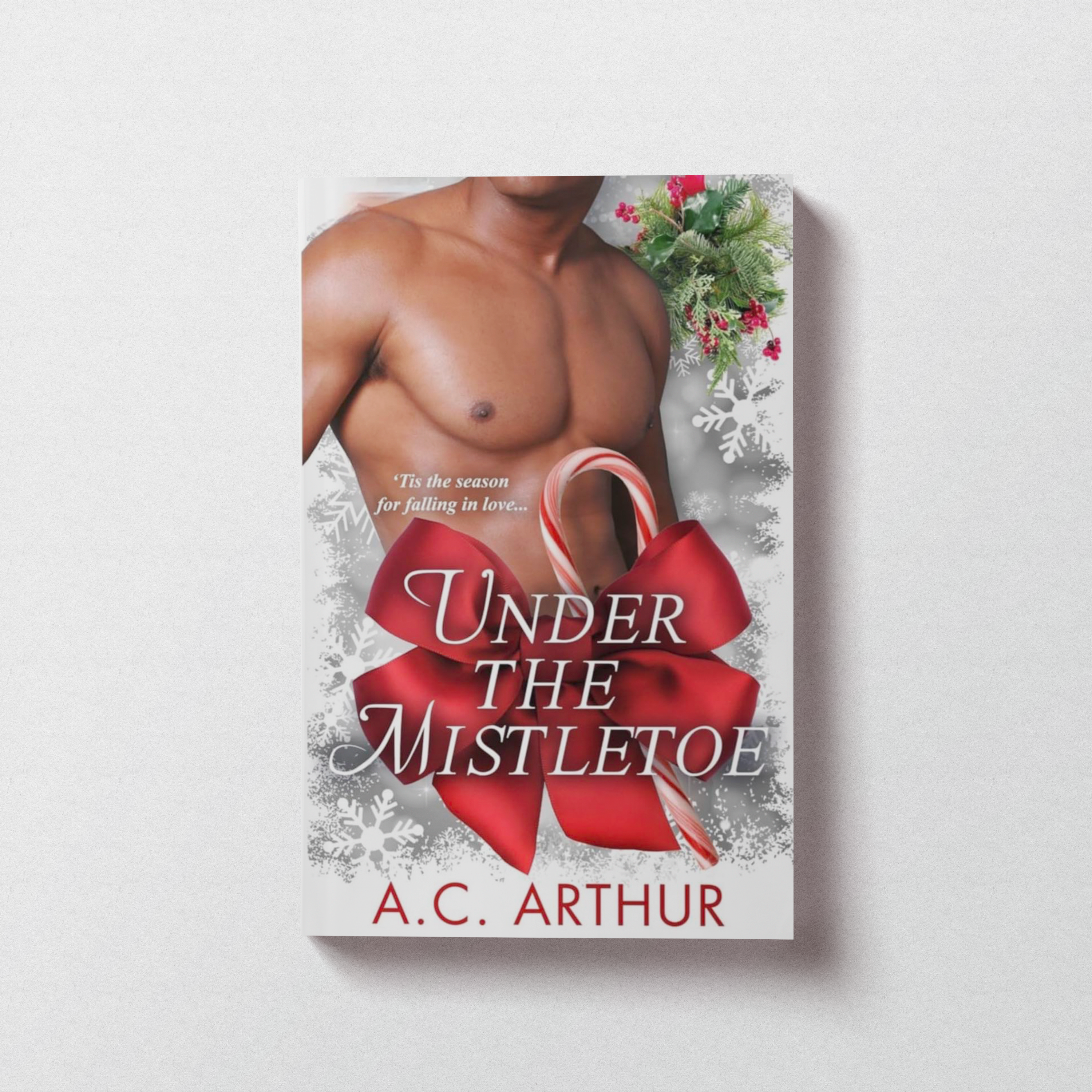 Under The Mistletoe Anthology: Donovan Friends Book #4 - Paperback